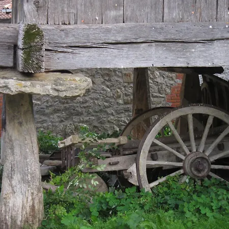 منزل ريفي Asturias Campon Antrialgo إينفيستو