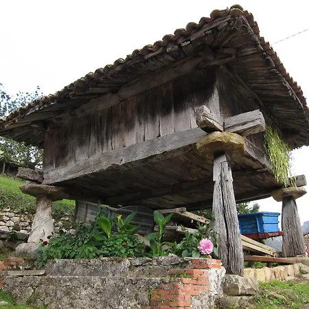 Asturias Campon Antrialgo * إينفيستو